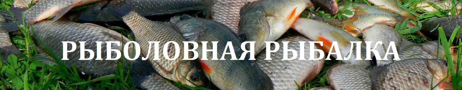 Рыболовная рыбалка
