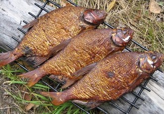 Как приготовить рыбу на костре