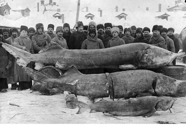 Ловля крупной рыбы